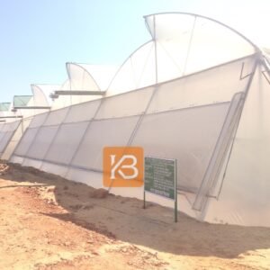 Naturally Ventilated Polyhouse
