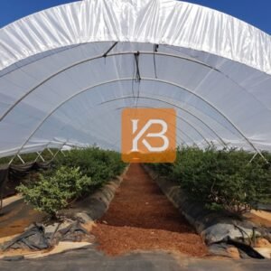 Single Span Poly Tunnel
