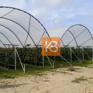 Multi Span Poly Tunnel